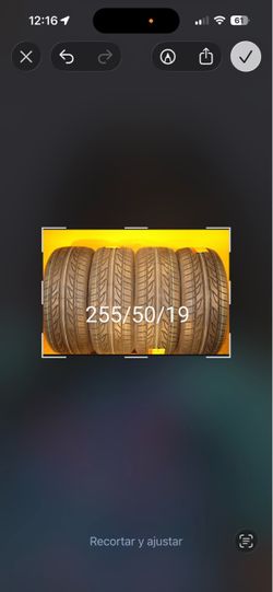 255-50-19
