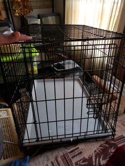 Dog Cage