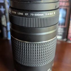 Canon EF 75-300mm F4-5.6 Lens