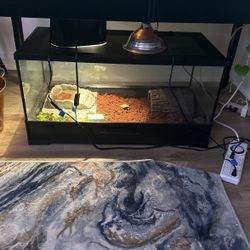 Reptile tank