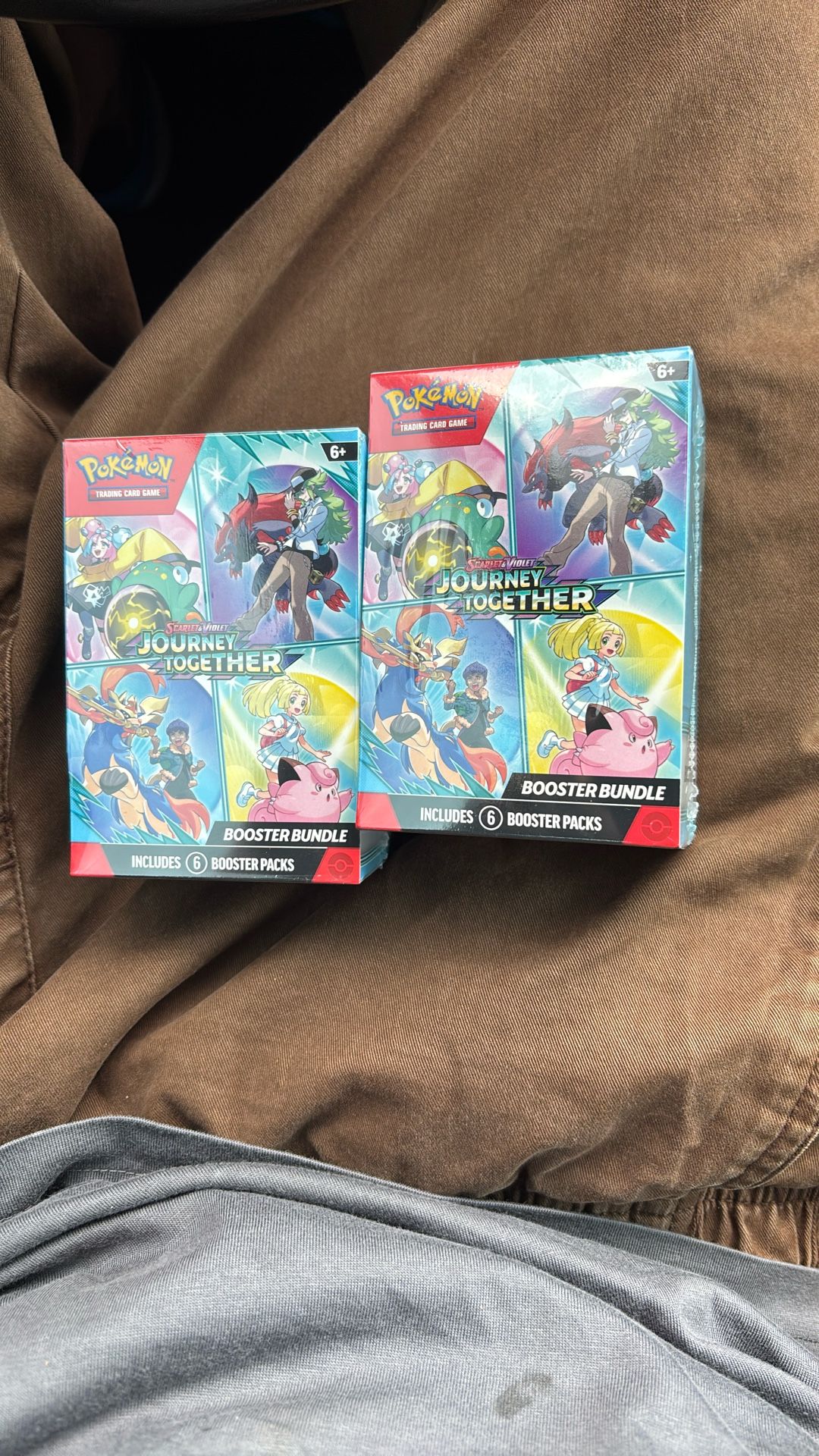 Pokémon journey together, Skyland Violet sealed booster packs booster bundles $45