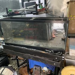 55gallon Fish Tank Complete 