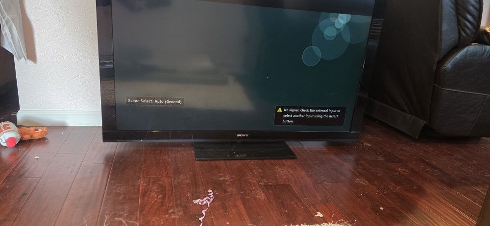 Sony 55" TV