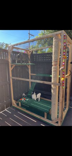Catio
