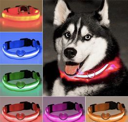 LED Dog Collar