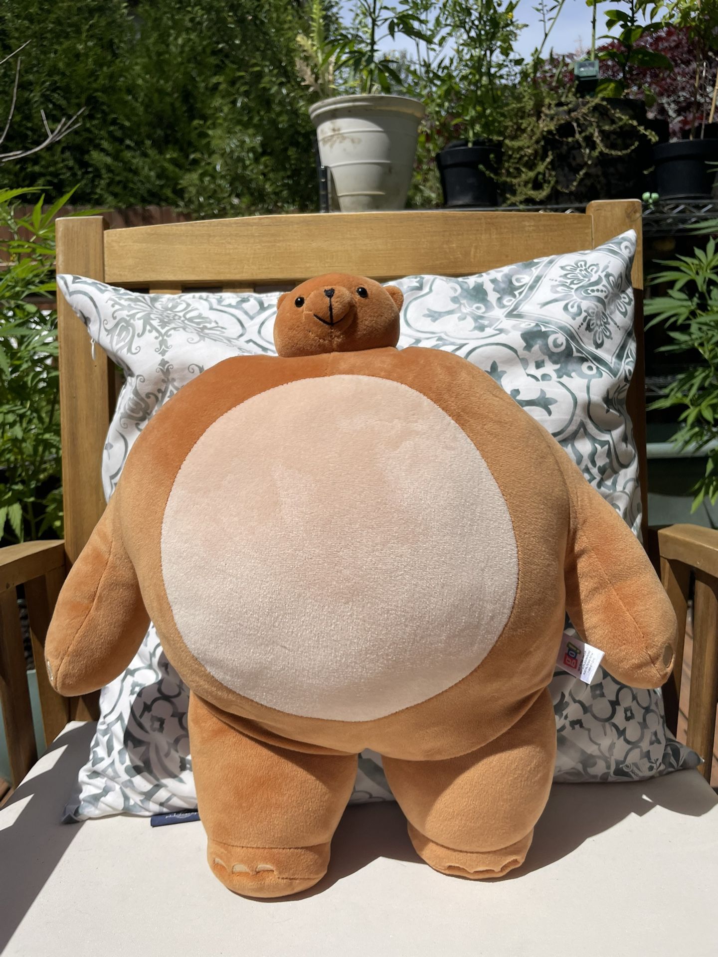 Goofy Bear