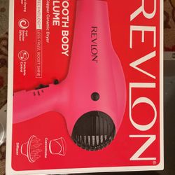 Bee Blow Dryer 