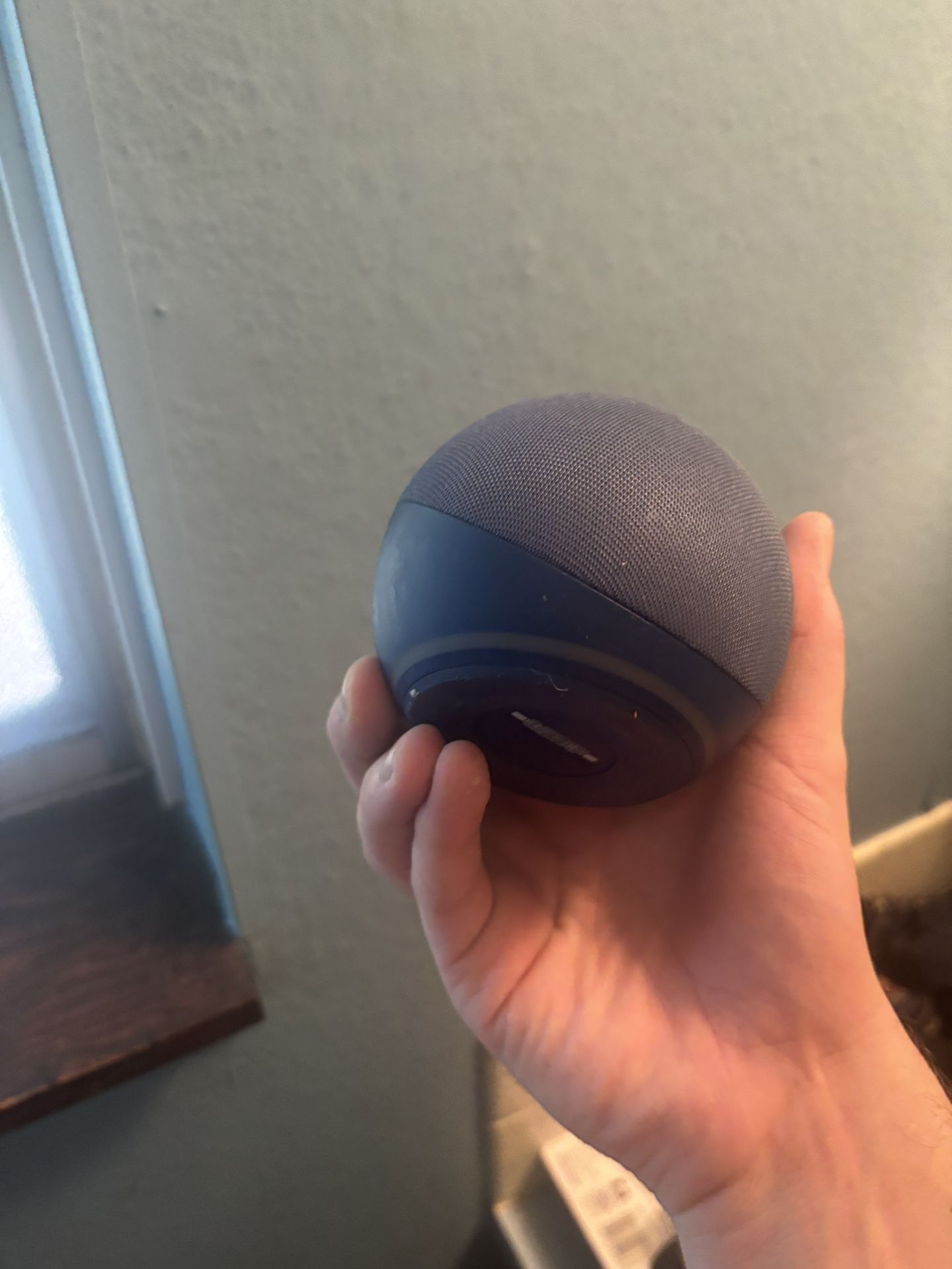 Amazon Echo Dot
