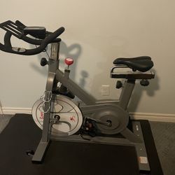 Sunny Exercise Bike (like New)