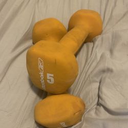 5 Lb Weights Reebok 