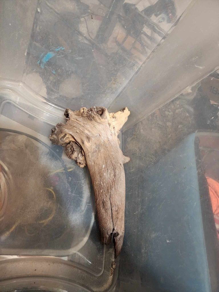 2 PC Of Driftwood For Reptiles