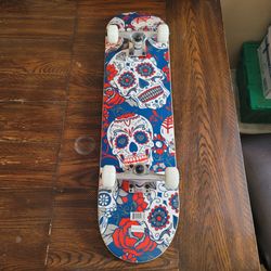 SKATEBOARDS SIZE 8.0