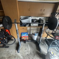 Weights, Bar Bell, Curl Bar . Squat Rack Weight Organizer  Bench Seat 