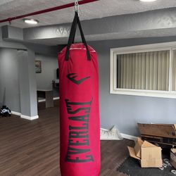 Everlast 80 Pound  Heavy bag