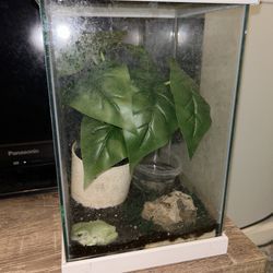 Super nice aquarium for sale