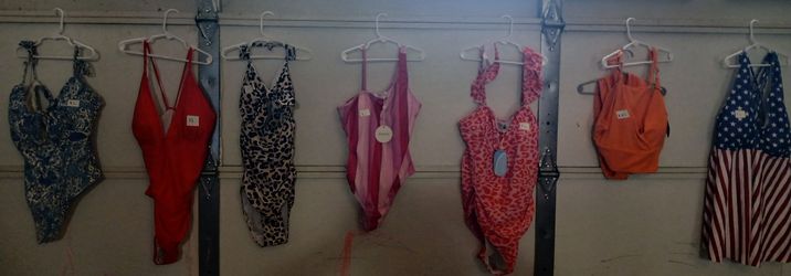 Bathing suit lot