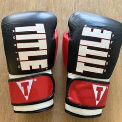 Title Boxing Gloves