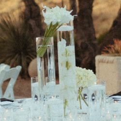 Beautiful Centerpiece -Glass Cylinder Vases