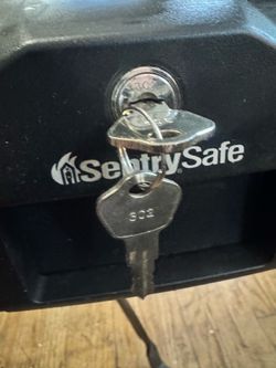 Sentry safe 1100
