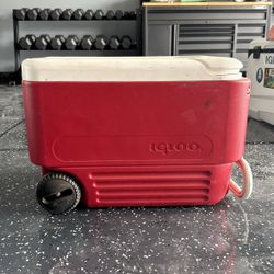 Igloo Cooler