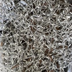 Giant Container Full Of Working White Lights