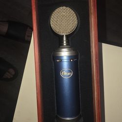 Blu Bird Recording Mic