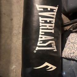 Everlast Punching Bag 