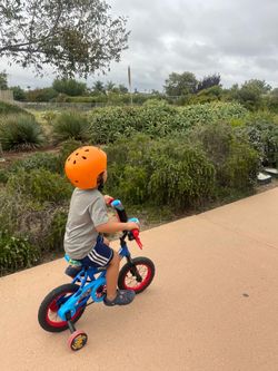 Spider-Man bike
