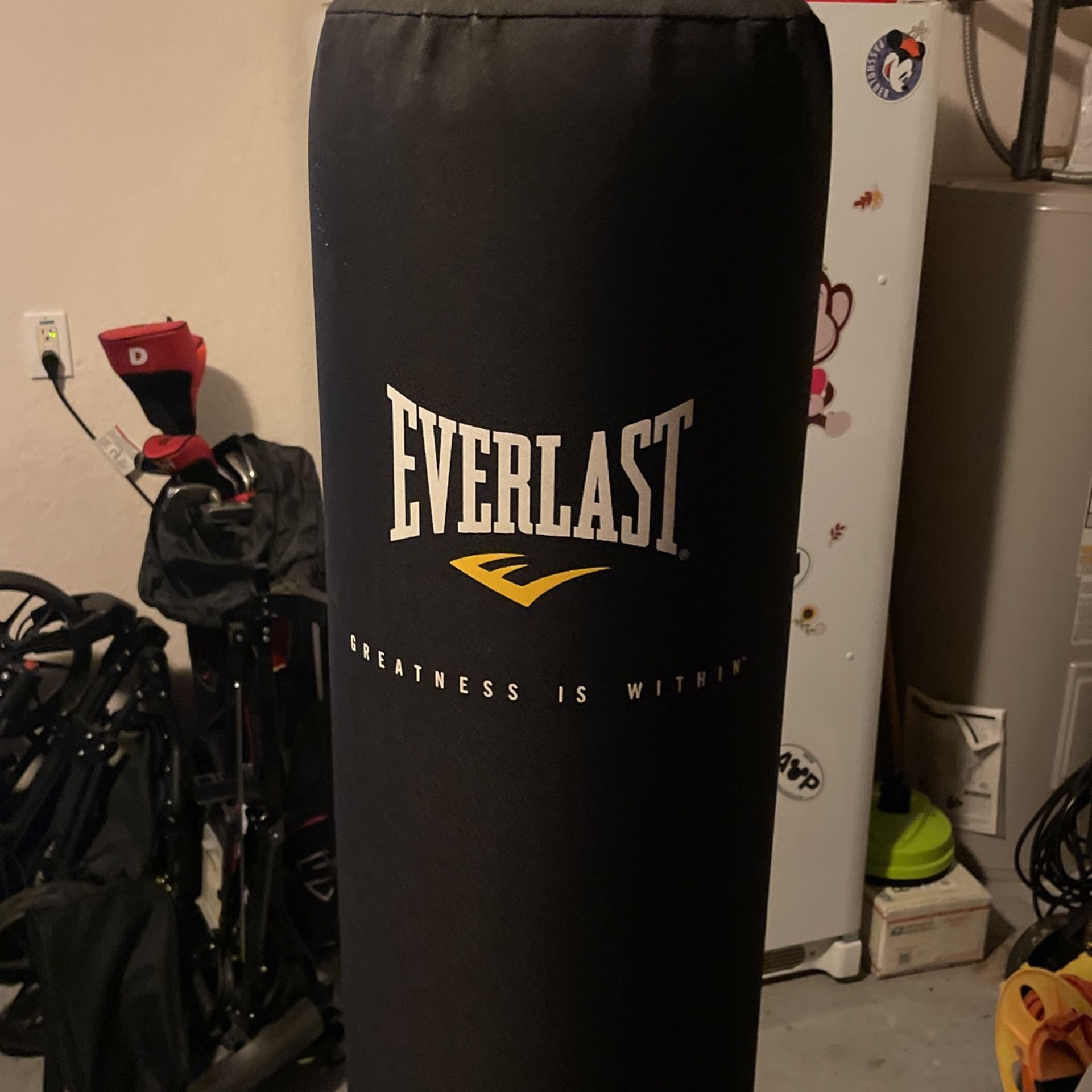 Everlast Everflex Cardio Punching bag for Sale in Spring Hill, FL OfferUp