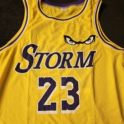 Lake Elsinore Storm Lebron James Lakers Jersey 