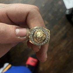 Lion Head Ring 9.5