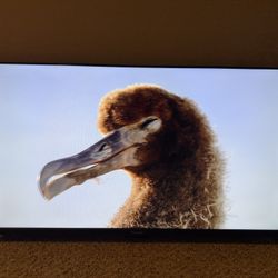 40 Inch pioneer LED Tv