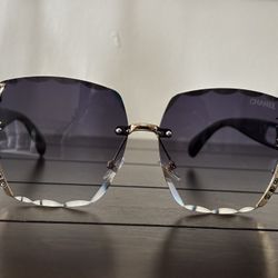 Cc Sunglasses 