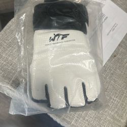Taekwondo Gloves