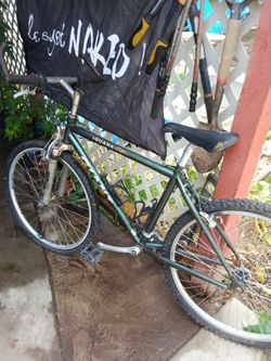 Giant Iguana mountain bike