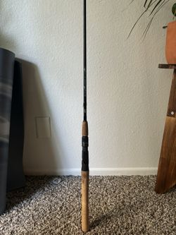 Daiwa Procyon Casting Rod