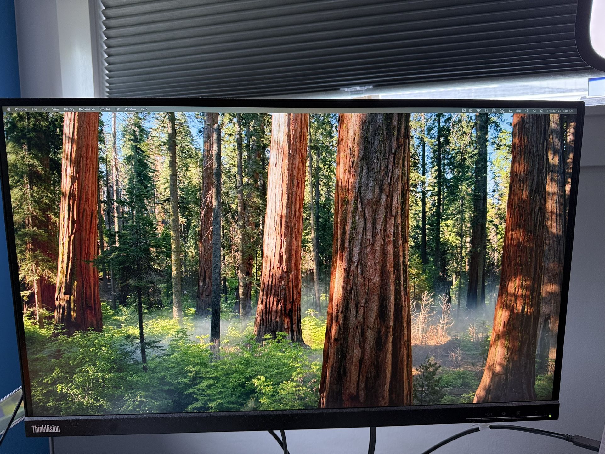 27” Lenovo 2560*1440 QHD Monitor