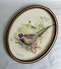 Vintage Framed Ringneck Pheasant Print by Ned Smith