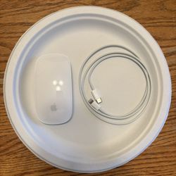 Apple Magic Mouse: Wireless, Bluetooth, Rechargeable. Works with Mac or iPad; Multi-Touch Surface - White (USB-C to Lightning)