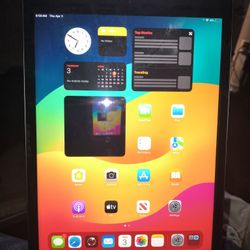 iPad Perfect Shape