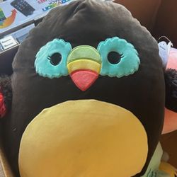 tito the toucan squishmallow 