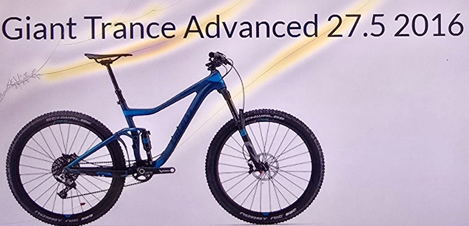 Giant Trance 3 Mountain Bike Frame