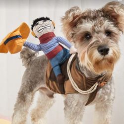 Pet Costume
