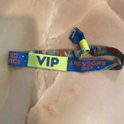 EDC Vip 2024