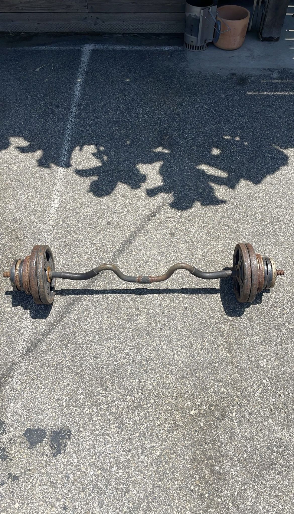 EZ Curl Bar with Weights (75 lbs Total)
