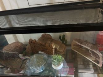 20 gallon reptile tank setup