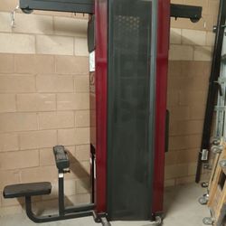 Cybex Lat Pull Tricep Tower 
