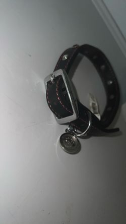 Dog Collar