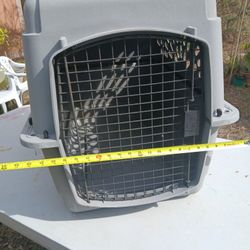 Pet Travel Kennel/ Carrier