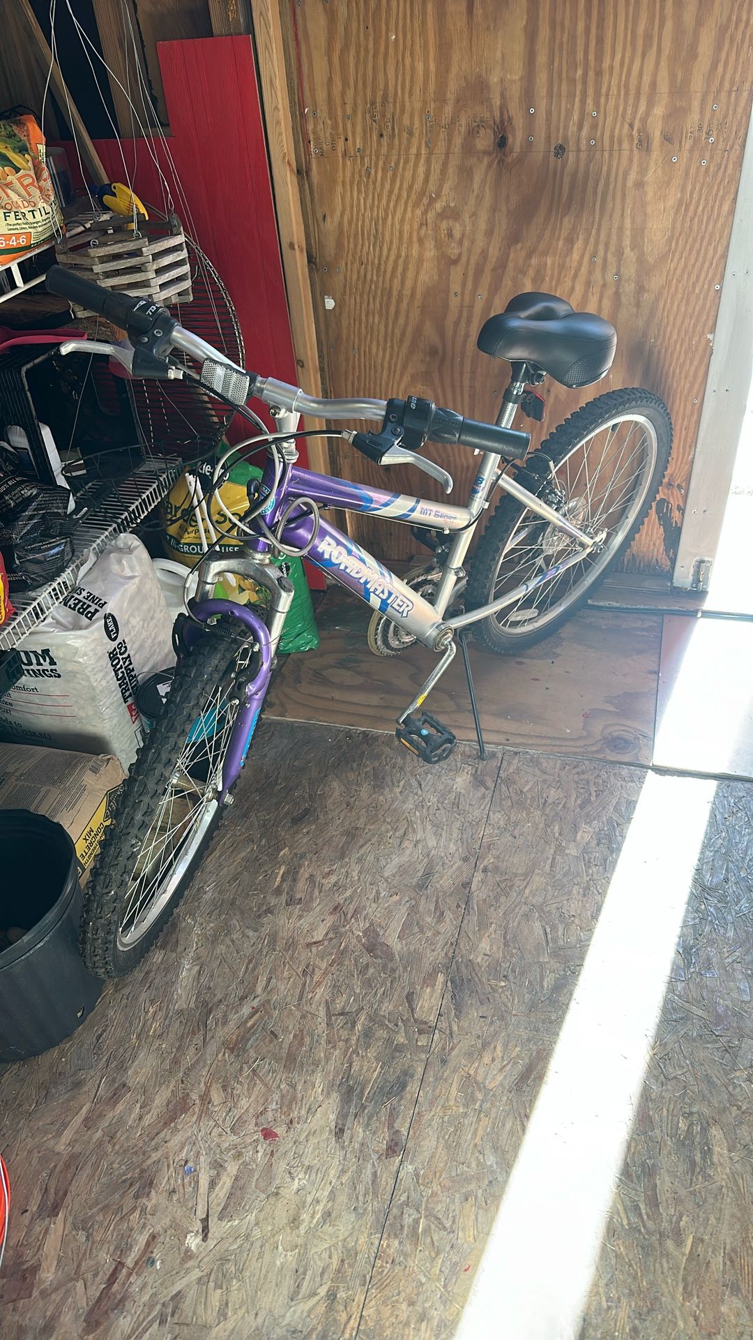 Roadmaster Bike